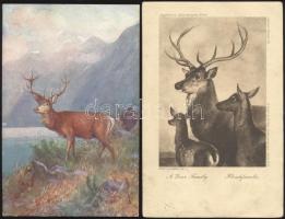 2 db háború előtti vadász képeslap, szarvas motívum