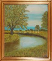 Lánczos József: Ipolyság. Olaj, vászon, jelzett, keretben, 70x60cm