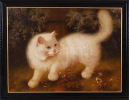Jelzés nélkül: Macska. Olaj, farost, szép állapotú igényes keretben, 49x64cm