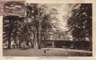 Gliwice "Seufzerwaldchen" park with restaurant