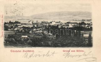 Zsolna with synagogue (?)