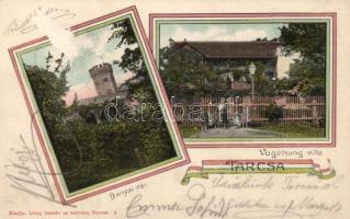 Tarcsa Bányai castle, Villa Vogelsang
