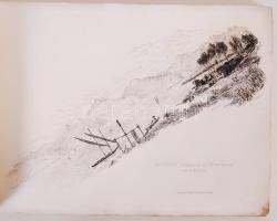 Croquis et fleurs des environs de Montreux. Eredeti rézkarcokkal és szárított virág gyűjteménnyel