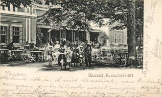 Buziásfürdő park, restaurant