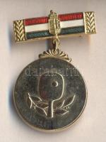 1995. "Magyar Köztársaság Bajnoka" asztalitenisz sport kitüntetés eredeti dísztokban T:1