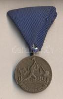 1954. "Árvízvédelemért Érem" patinázott Br kitüntetés, szalaggal T:1-