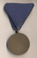 1954. "Árvízvédelemért Érem" patinázott Br kitüntetés, szalaggal T:1-