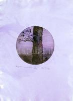 Kéri Imre (1945- ) Nappalok és éjszakák, számozott, szignált rézkarc merített papíron (EA I/XV. jelzéssel) 42x30cm + rövid ismertető a művészről