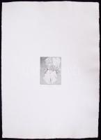 Rozanits Tibor (1931-) számozott, szignált rézkarc merített papíron (EA 2/10. jelzéssel) 42x30cm + r...