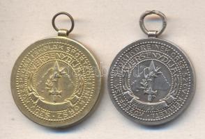 1930. "Középfokú Iskolák Sportköreinek Orsz. Szöv. Versenydíja" arany, ezüst fokozatú díjé...