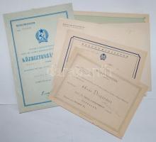 Dekoratív kitüntetés és jelvény sor eredeti szalagsávon 10db klf éremmel illetve a hozzájuk tartozó ...