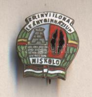 "Zrínyi Ilona Leánygimnázium Miskolc" zománcozott iskolajelvény T:1-