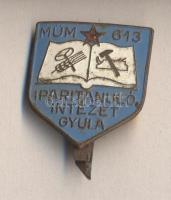 "MÜM 613 Iparitanuló Intézet Gyula" iskolajelvény T:2-