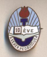 "10 éve a XX. Kerület Pedagógusa" zománcozott kitüntető jelvény T:1-