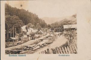 Rahó Borkút street (Rb)