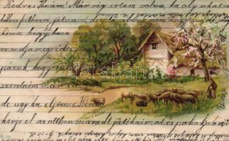 Sheep flock with shepherd litho (EK)