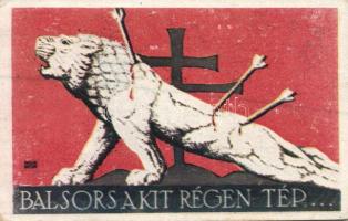 Hungarian irredenta (EK)