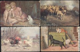 7 db vegyes régi képeslap, állat motívum, magyar városképek