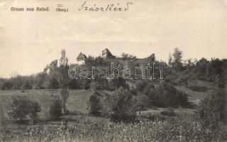 Szászkézd castle (wet damage)