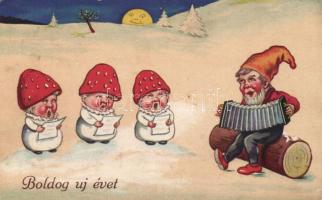 New year, dwarf, mushroom (pinhole)