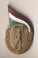 ~1960. "A Technika Ifjú Mestere" zománcozott Br jelvény T:2