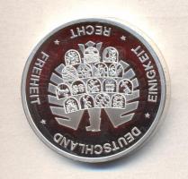 Németország 2002. "A Monetáris Unió és az Euro bevezetése" ezüstözött emlékérem T:PP
Germa...