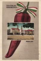 Szeged paprika, Püspöki palota (EK)