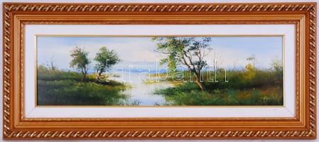 Finta László (1944-): Tájkép. Olaj, farost, jelzett, műanyag keretben, 17×47 cm