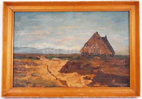 Somogyi 1959 jelzéssel: Kunyhó. Olaj, vászon, keretben, 50x35 cm