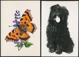 55 db modern állatos képeslap (házi- és vadállatok, madarak, lepkék), majdnem mind használatlan