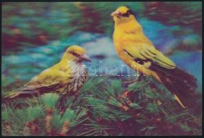 2 db dimenziós lap madármotívummal