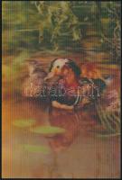 2 db dimenziós lap madármotívummal