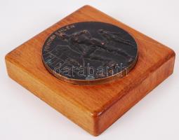 Jelzés nélkül: Fonyódi emlék 1949. Háttérben a Kossuth címer, bronz plakett fa talapzaton, d:8 cm