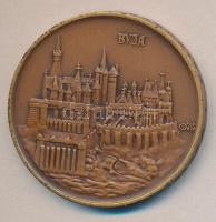 Csúcs Ferenc (1905-1999) / ÁPV 1974. "MÉE Budapest - IV. Vándorgyűlés Esztergom, Visegrád" Br emlékérem (42,5mm) T:1