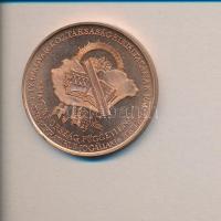 Bozó Gyula (1913-) 1989. "A Magyar Köztársaság kikiáltásának emlékére / Magyarország független demokratikus jogállam" fényes Br emlékérem (42mm) T:1