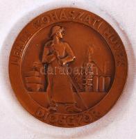 Két darab emlék plakett: Budacolor festékgyár 1950-1975 d:7 cm, Lenin kohászati művek Diósgyőr d:5 c...