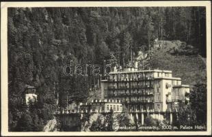 Semmering Palace Hotel