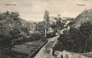 Veszprém Betekints-völgy (small tear)