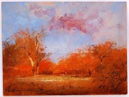 Balogh István Péter (1950-): Tisztás. Akril, farost, jelzett, 30×40 cm