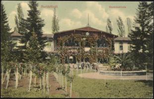 Buziásfürdő Hotel Bazaar