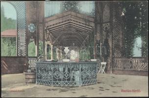 Buziásfürdő Joseph fountain