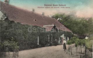 Gyúró Kuldó, Kápolnai intéző lak, szövetkezeti elnök lakása