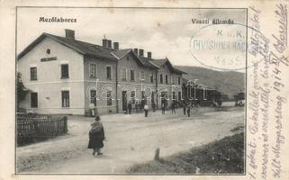 Mezőlaborc railway station (EK)