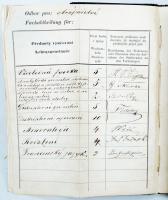 1865 Prága egyetemi leckekönyv, híres professzorok aláírásaival / 1856 Prag Czech University grade-book with signatures of famous professors (Jonák Eberhard Antonín...)