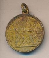 1896. "I. Ferencz József / Millenniumi emlék" emlékérem T:2- ph