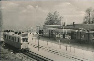 Budapest II. Ságvári-liget (ma Szépjuhászné)úttörővasút