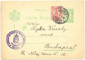 Nyárády Erazmus Gyula botanikus Lyka Károlynak írt levelezőlapja, melyben felkéri botanikai gyűjteményének felülvizsgálatára