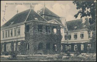 Berzence Festetics kastély