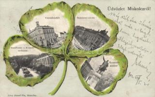 Miskolc lóhere (fa)