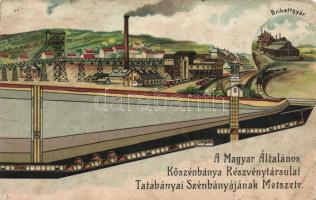 Tatabánya, a Magyar Általános Kőszénbánya Részvénytársulat Tatabányai Szénbányája (non pc)(EK)